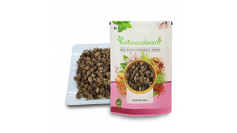 Benefits of Gokhru Big- Gokharu Bada - Pedalium Murex – Caltrops - Khar e Khasak