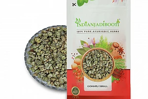 Benefits of Small Gokhru | For Kidney Stones | For Sexual Issues