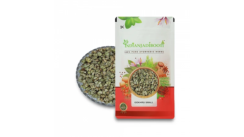 Benefits of Small Gokhru | For Kidney Stones | For Sexual Issues