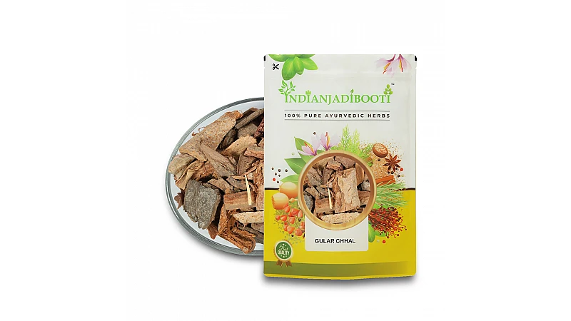 Amazing Benefits of Gular Tree (Ficus racemosa) Cluster Fig Fruit Plant Bark