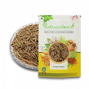 Indrajau (Kadwa) - Kutaj - Coneru - Kutaja - Kadvi Jau - Kadwa Jau - Bitter Jau - Inderjo Karwa - Inderjau Talkh - Holarrhena Pubescens by IndianJadiBooti