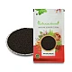 Kateri (Seeds) - Ringni - Bhatkatiya - Kantakari - Katehri Beej - Beej Kateli - Bruhati by IndianJadiBooti