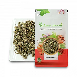 Laxmana Booti - Sanjeevni - Sanjivni Booti - Lakshmana Buti - Sanjeevani Buti - Sanjivani - Selaginella Bryopteris by IndianJadiBooti