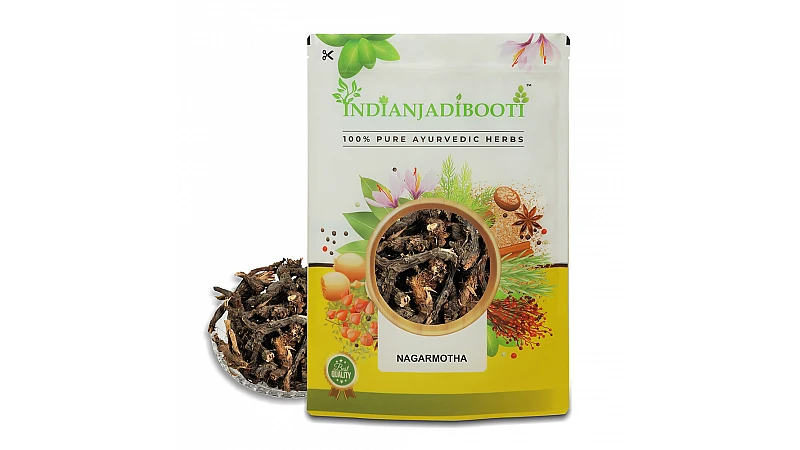 Benefits of Nagarmotha Roots - Nagarmotha Jadd - Nutsedge Grass - Nut Grass - Cyperus Rotundus