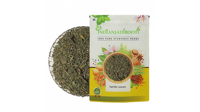 Benefits of Nettle Leaves - Urtica Dioica - Nettle Tea