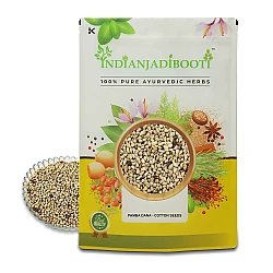 Pamba Dana - Binola Giri - Banola Seeds - Cotton Seeds - Gossypium Herbaceum by IndianJadiBooti