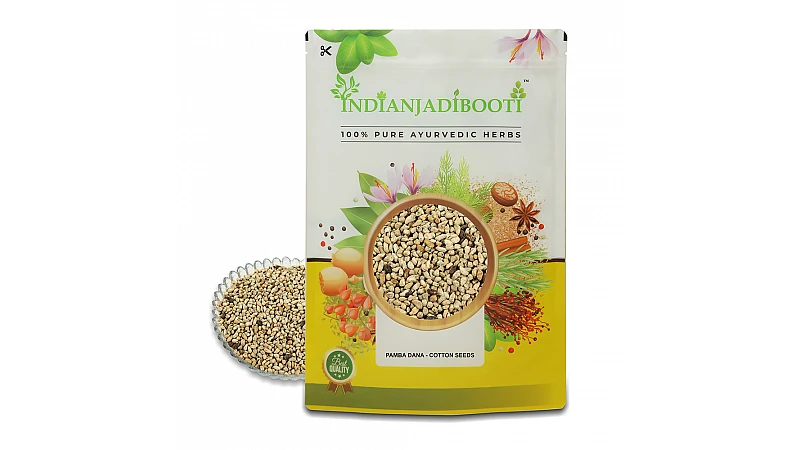 Benefits of Pamba Dana - Binola Giri - Banola Seeds - Cotton Seeds - Gossypium herbaceum