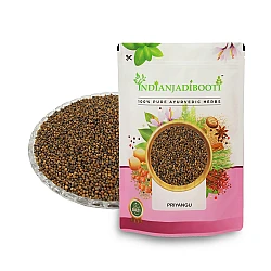 Priyangu (Seeds) - Priyangu (Beej) - Phalini - Pirangu - Callicarpa Macrophylla by IndianJadiBooti