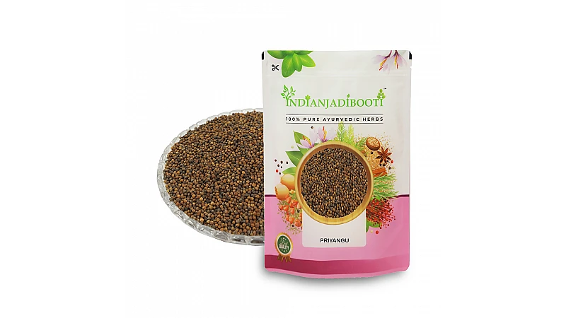 Benefits of Priyangu Seeds - Priyangu Beej - Pirangu - Callicarpa Macrophylla
