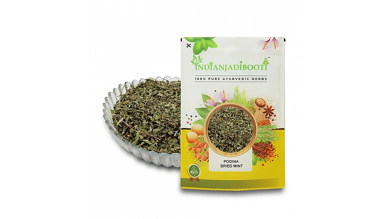 Benefits of Pudina Dry - Dried Podina - Sookha Pudina - Sukha Podina - Mint - Mentha piperita