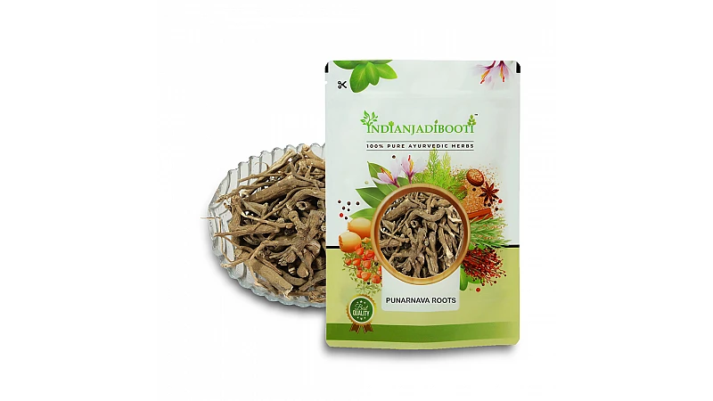 Benefits of Punarnava Roots - Boerhavia Diffusa - Sathi Jadd