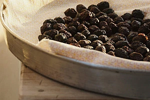 Jojoba Oil & Seeds Complete Guide – Benefits, Uses, Comparison & How to Use