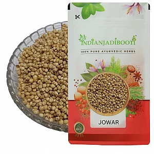 Jowar - Sorghum Millet - Broomcorn - Great Millet - New Quinoa - High Plant Protein - Fiber Rich Desi Jowar by IndianJadiBooti