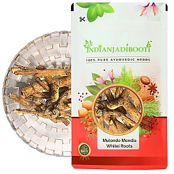 Mulondo Mondia Whitei (Roots) (Uganda - Africa Origin) -  White Ginger - Tonic Root - African Ginger- African Ginseng - Umondi - Mukombero by IndianJadiBooti