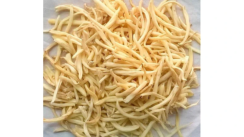 Safed Musli vs Ashwagandha: Ayurvedic Differences, Benefits & Which Herb Suits You Better?