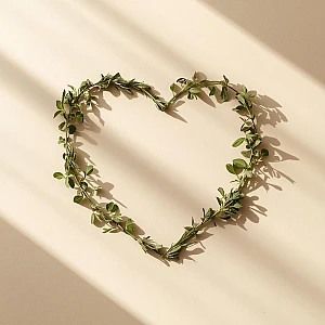 Ayurvedic herbs for sexual wellness and vitality including Ashwagandha Safed Musli Shatavari