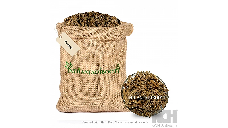 Benefits of Patchouli (Panchang Format) - Patcholi - Pogostemon Cablin