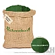 Spirulina (Powder) -  Arthrospira Platensis by IndianJadiBooti