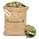 Guava (Leaves) (Dried) - Amrood (Patti) - Psidium Guajava - Amrud (Patta) by IndianJadiBooti