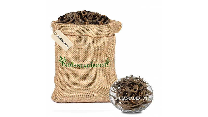 Top 5 Benefits of Dandelion Roots - Singhparni Jadd - Taraxacum Officinale