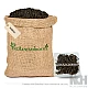 Kakoli (Roots) - Kandhambu - Vayasoli - Swadumanishi - Vira - Kayasthika - Roscoea Purpurea - Roscaea Procera by IndianJadiBooti