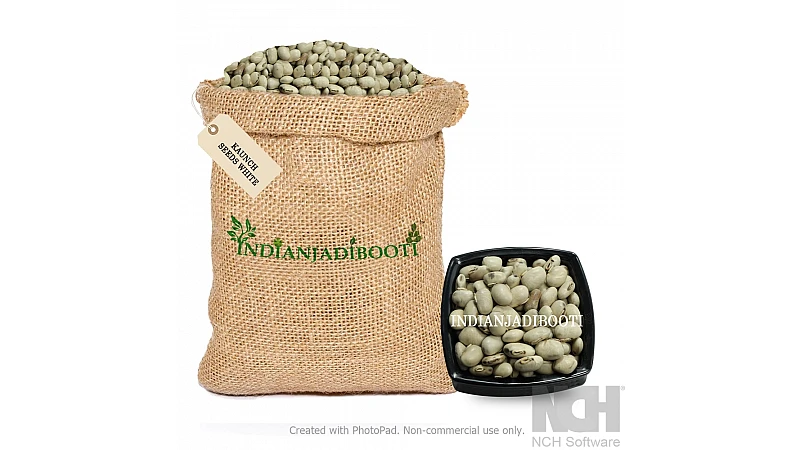 Top 5 Benefits of Kaunch Seed White