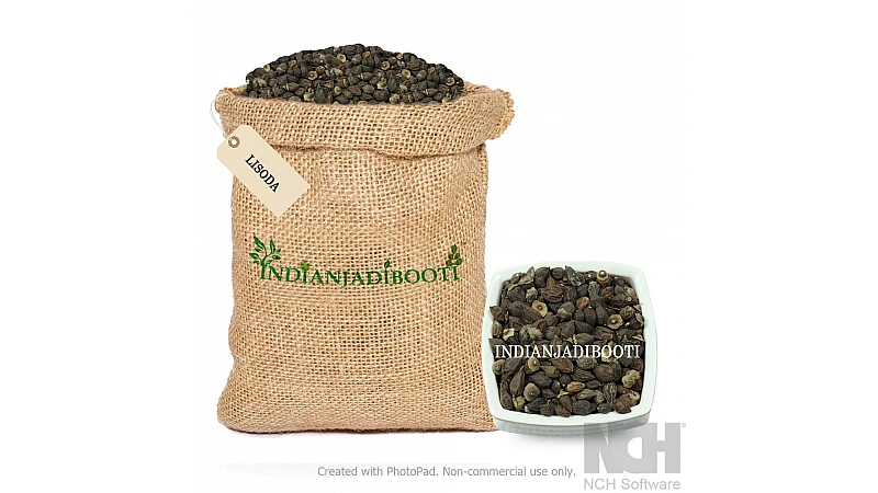 What is Lisodha Dry - Lasoda - Lasora - Lisoda - Lesua - Sapistan - Cordia Latifolia?