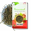 Jal Brahmi - Bacopa Monnieri - Nir Brahmi - Water Hyssop - Saraswati Leaves - Indian Pennywort - Neer Brahmi - Brahmi Booti by IndianJadiBooti