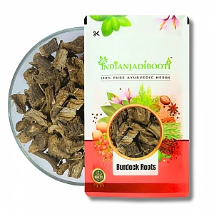 Burdock (Roots) - Jungali Kuth (Jadd) - Arctium Lappa by IndianJadiBooti