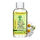 Chamomile (Essential) (Oil) - Babuna (Tel) - Babune (Tailam) - Karpurapuspa - Matricaria Chamomilla by IndianJadiBooti