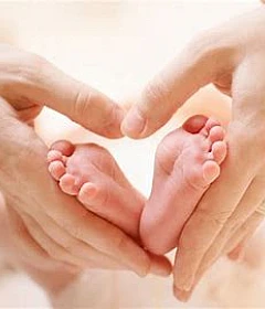 Impotence/Fertility