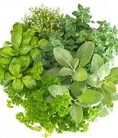 Herbal Products