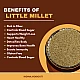 Little Millet - Panicum Sumatrense - Saame - Samalu - Samai - Sama - Chama by IndianJadiBooti