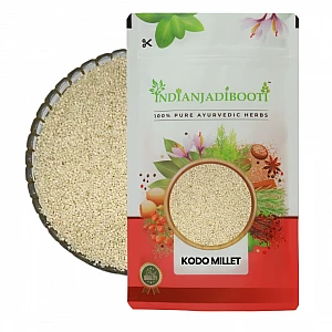 Kodo Millet - Paspalum Scrobiculatum - Koda - Kodrava - Kodra by IndianJadiBooti   