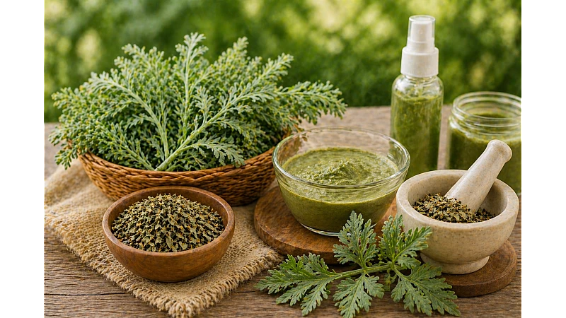 Afsanteen for Skin Benefits (Acne, Glow & Herbal Skincare Guide)