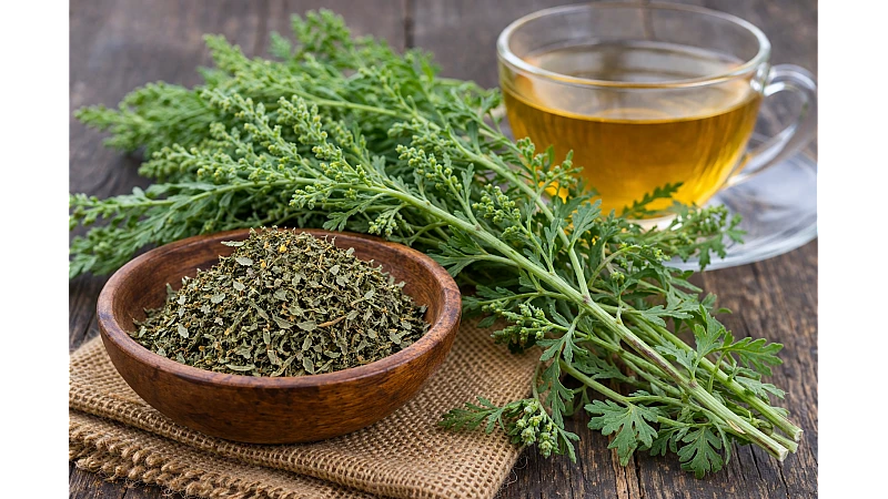 How to Use Afsanteen (Panchang) – Dosage, Methods & Benefits