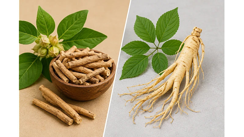 Ashwagandha vs Ginseng: Benefits, Uses, Safety & Best Choice