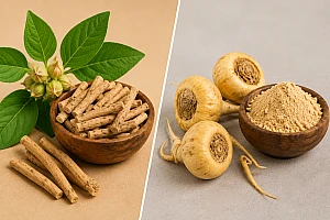 Ashwagandha vs Maca: Benefits, Uses, Safety & Which Is Better?