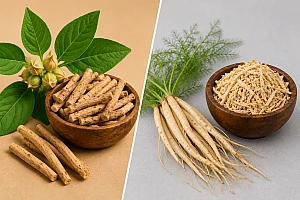 Ashwagandha vs Shatavari: Benefits, Uses, Safety & Which Is Better?
