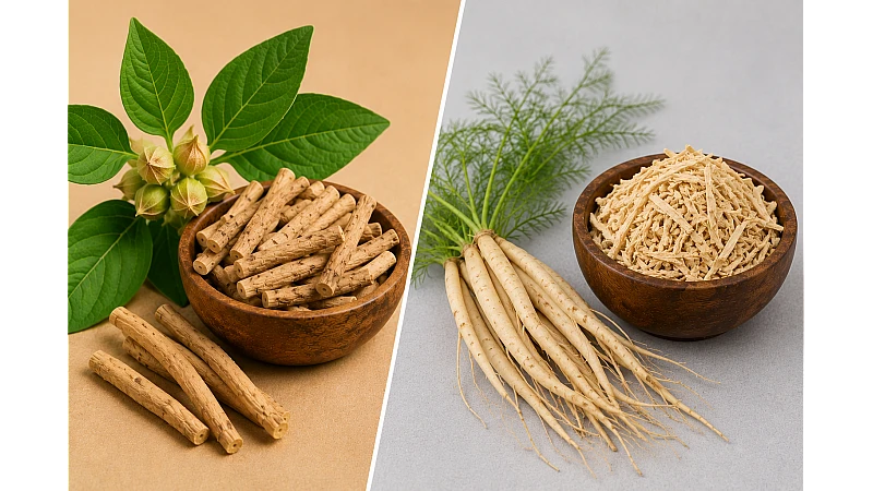 Ashwagandha vs Shatavari: Benefits, Uses, Safety & Which Is Better?