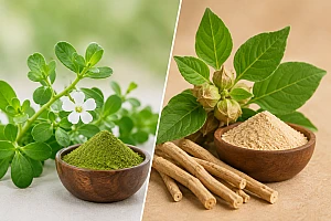 Brahmi vs Ashwagandha: Benefits, Uses, Safety & Best Choice