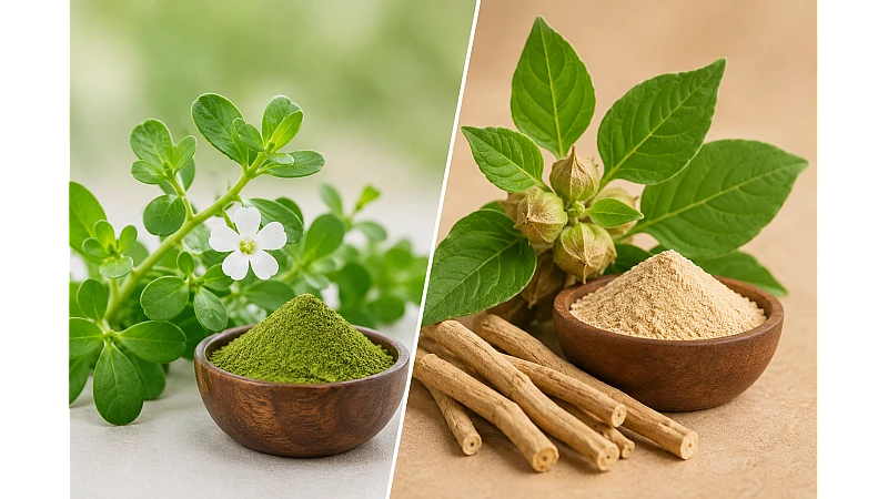 Brahmi vs Ashwagandha: Benefits, Uses, Safety & Best Choice