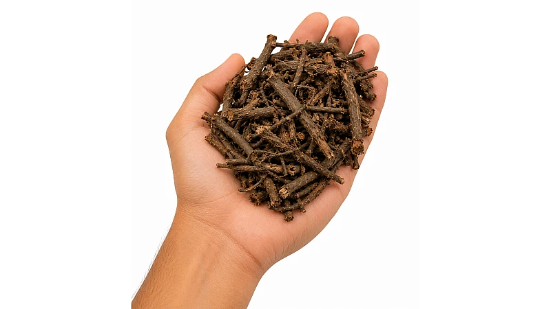 Chitrak Root Powder vs Raw Root – Which is Better for Health?