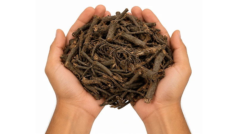 Chitrak Root – Benefits, Uses, Dosage & Buy Complete Ayurvedic Guide