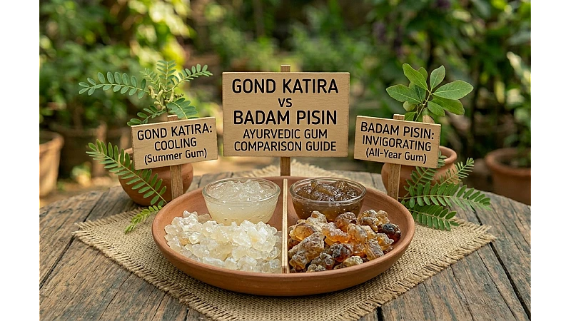 Gond Katira vs Badam Pisin: Difference, Uses and Benefits