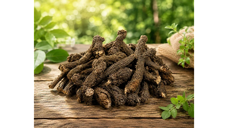Nagarmotha Benefits, Uses, Dosage & Buy Online – Complete Guide