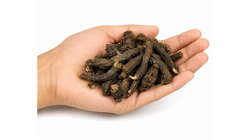 Nagarmotha Root Benefits, Uses & Dosage | Ayurvedic Guide