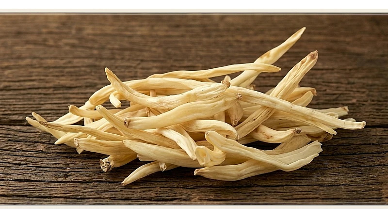 Safed Musli Dosage Guide for Beginners | Daily Intake, Gym Dosage & Usage