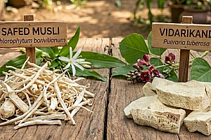 Safed Musli vs Vidarikand