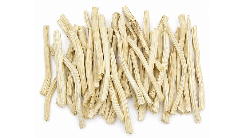 Shatavari Side Effects & Precautions – Is It Safe to Use?